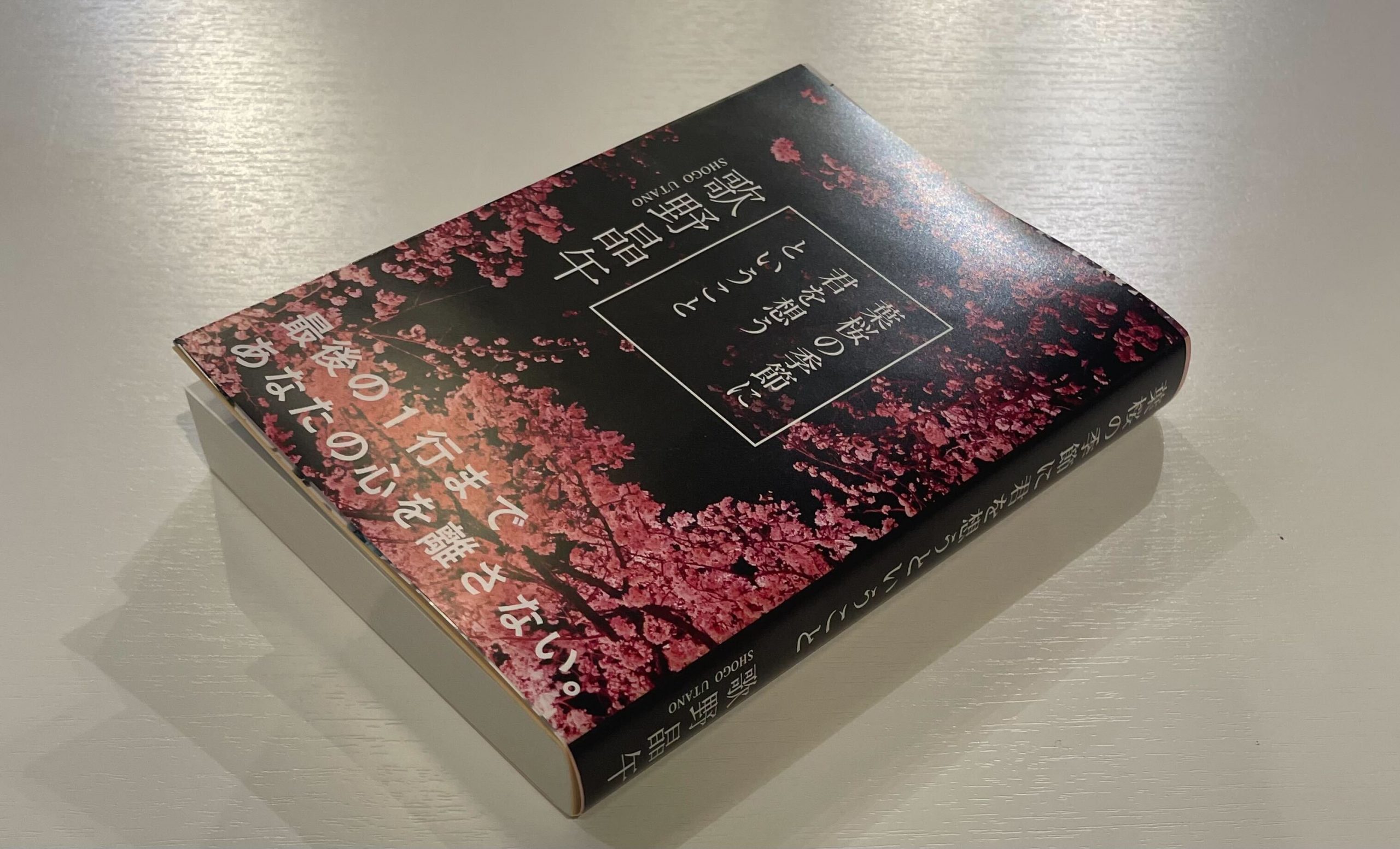 文章が信じられなくなる問題作 『葉桜の季節に君を想うということ