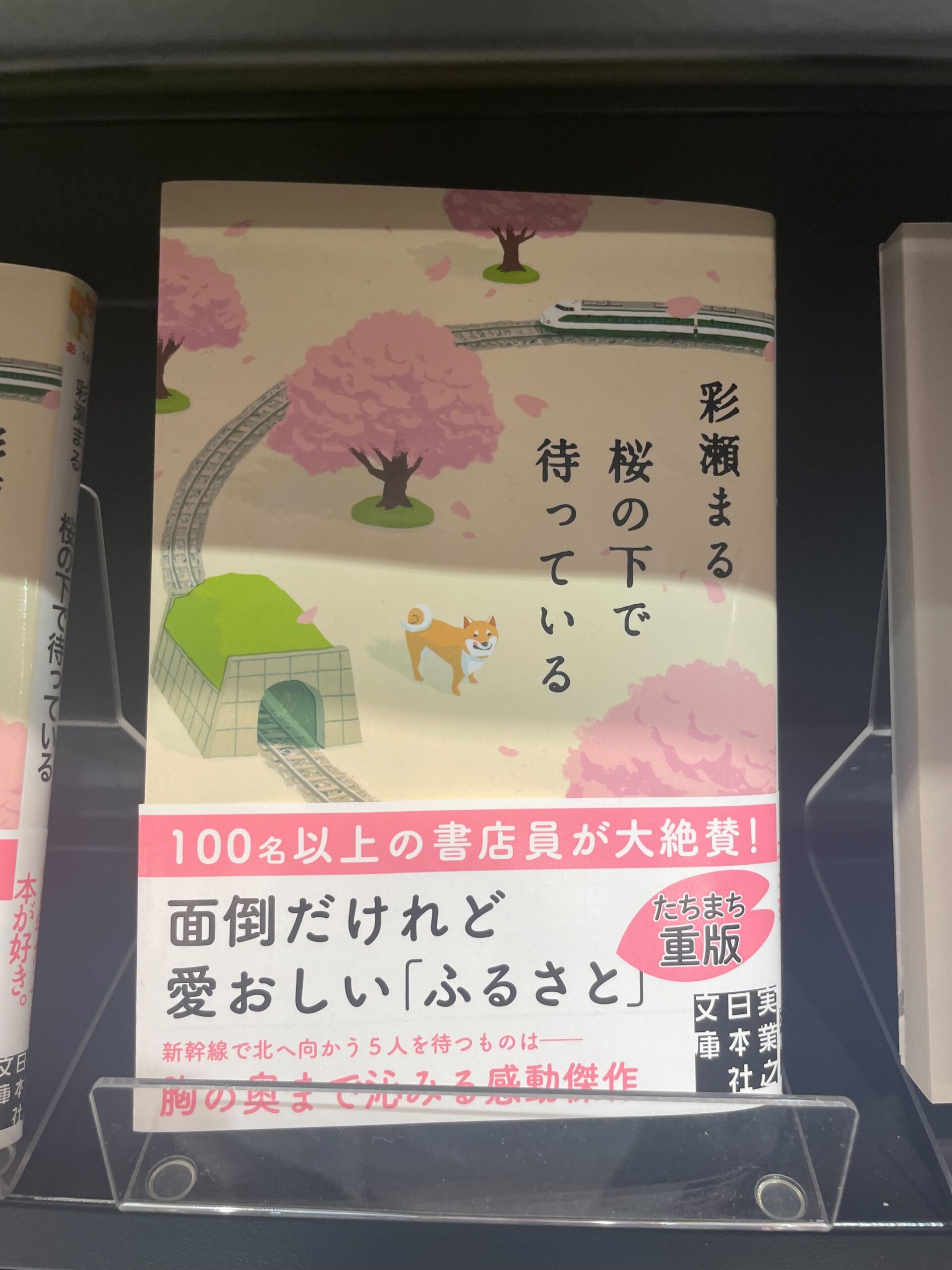 桜原木玉切、値下げしました。 玉縄桜の原木を見に行く | OM SYSTEM OM-3 , TG-7｜borichan | 旅する